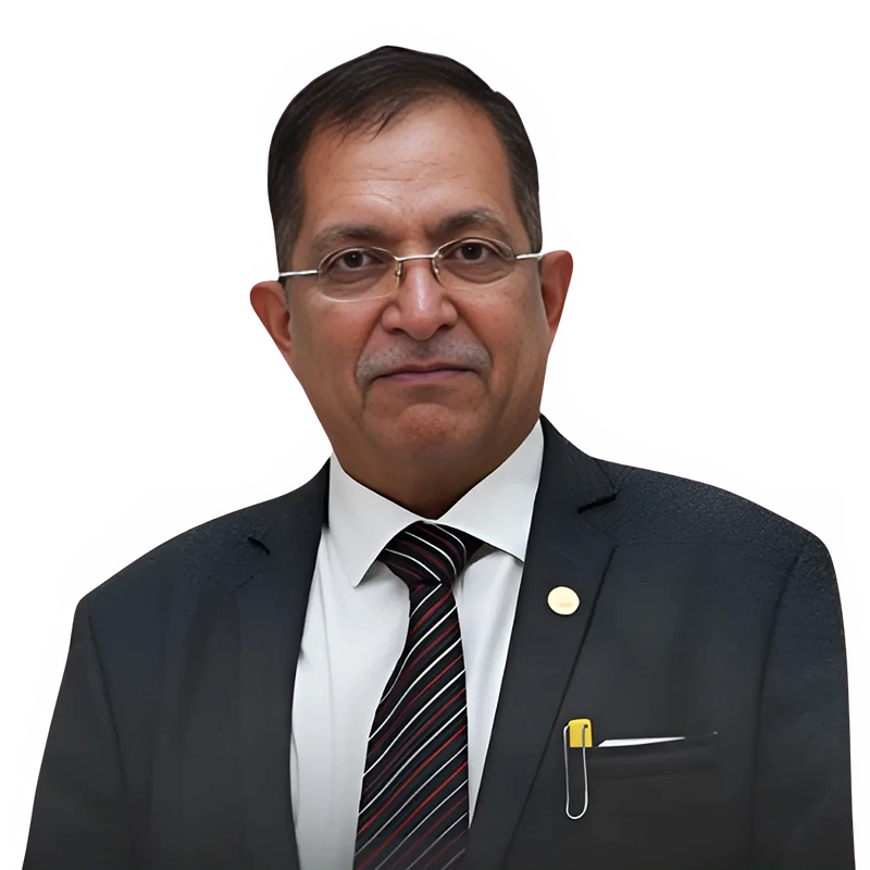 Mr. Shirish G. Belapure